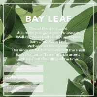 Bay Leaf, Butterfly Thai Perfume - Eau De Parfum (EDP)